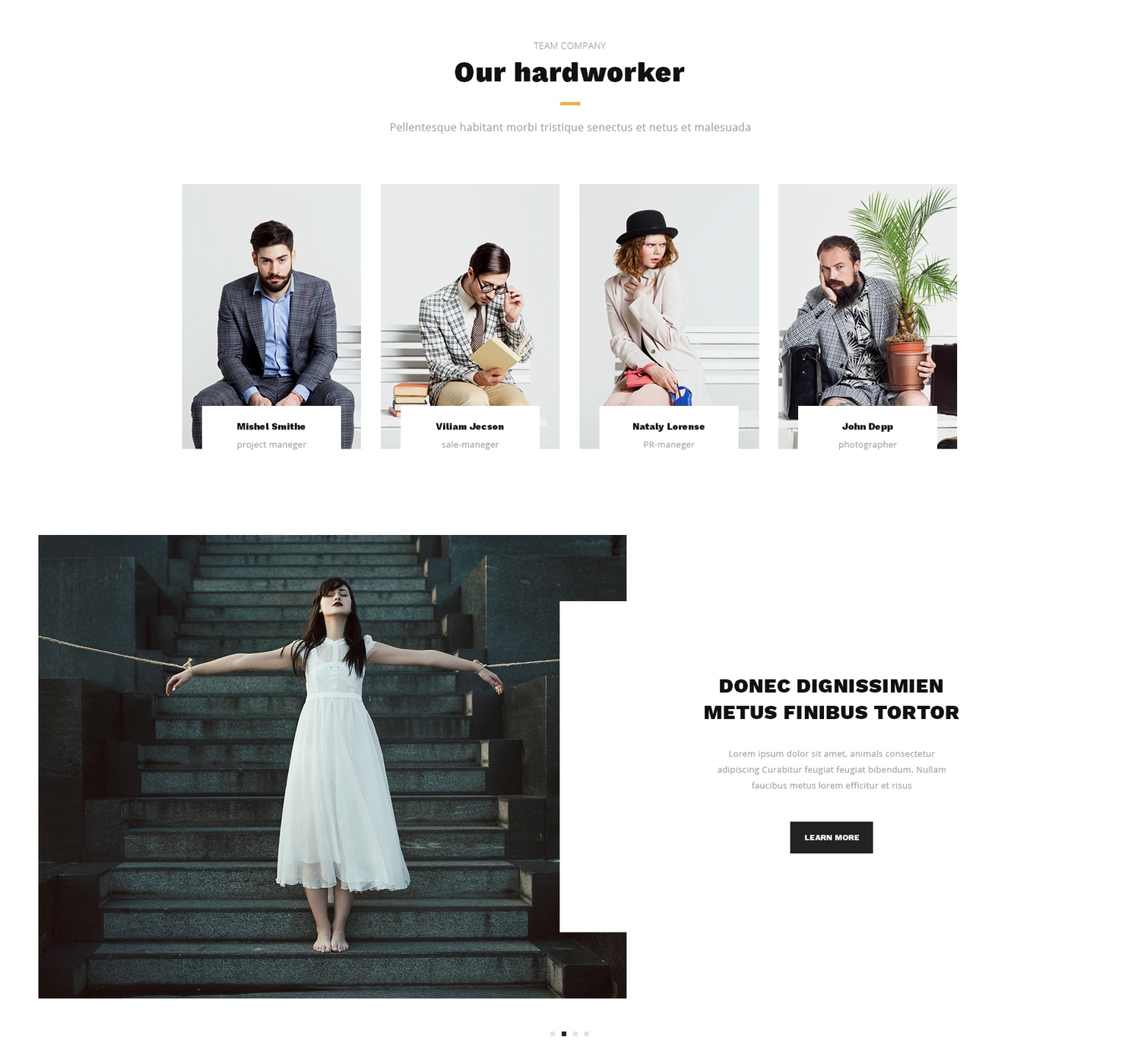 Responsive Bootstrap Simple Theme